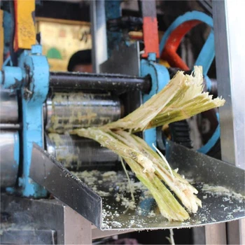 Sugarcane bagasse Sugarcane bagasse