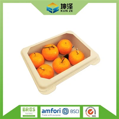 Biologisch afbreekbare fruitbakjes