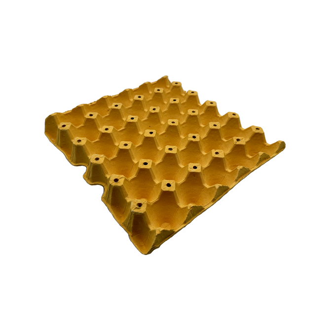 Egg Cardboard Tray