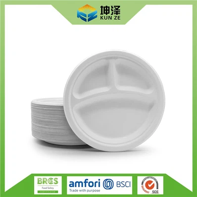 bagasse-paper-plates40711626-d33b-42d1-b29c-6b890387f7aa bagasse-paper-plates40711626-d33b-42d1-b29c-6b890387f7aa