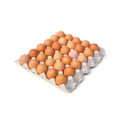 Eierplaten